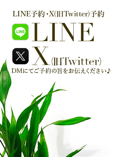X(��Twitter)�\��