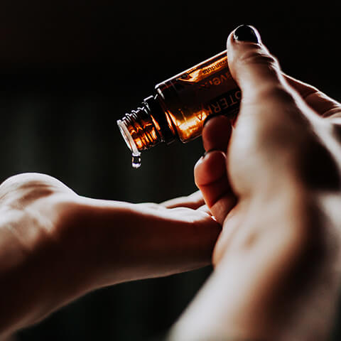 �̌����X�����Ă݂悤